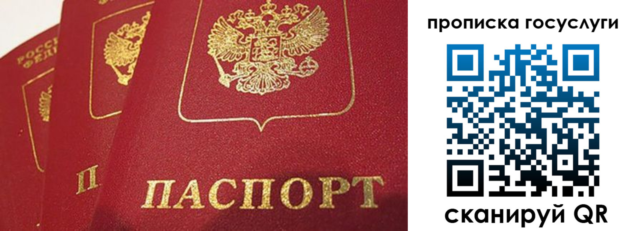 прописка от собственника в Ржеве